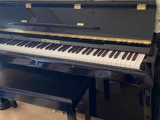 STRAUSS  ピアノ