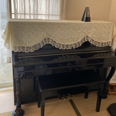 STRAUSS  ピアノの画像