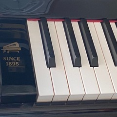 STRAUSS  ピアノの画像