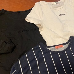 レディースL♡春夏服まとめ　Tシャツ•ロンT•五分丈•薄めショート丈トレーナーなどの画像