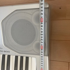 CASIO カシオ 電子キーボード 電子ピアノ CTK-800 (アーロン CASIO カシオ 電子キーボード 電子ピアノ CTK-800 (アーロン