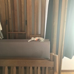 2段ベット