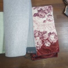 ホットカーペット＆カバー(4/19＆20限定)