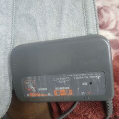 ホットカーペット＆カバー(4/19＆20限定)の画像