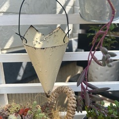 アイスコーン　リメ缶　多肉　観葉植物　ガーデニング　草花　ハンギ...