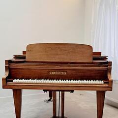 YAMAHA クラシックギター CG150SA (橋本崚太) 椎名町の弦楽器 YAMAHA クラシックギター CG150SA (橋本崚太) 椎名町の弦楽器