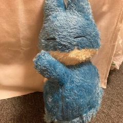 くつろぎゴンベの画像