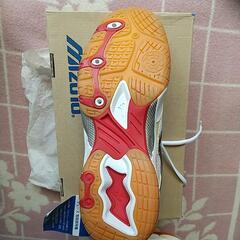 未使用 バドミントン シューズ ミズノ 24.5cmの画像