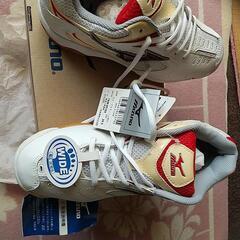 未使用 バドミントン シューズ ミズノ 24.5cmの画像