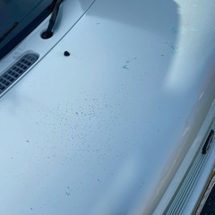 総額6.0万円★格安★9万キロ台★平成14年式 スズキラパンX(HE21S)万キロ 車検令和7年6月 グリーンの画像