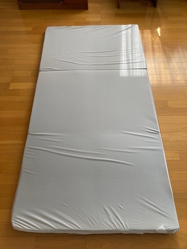 トゥルースリーパーエアフリースマート 新品 カバー付】トゥルー