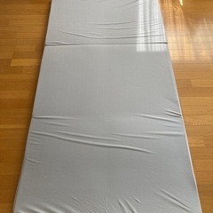 トゥルースリーパーエアフリースマート