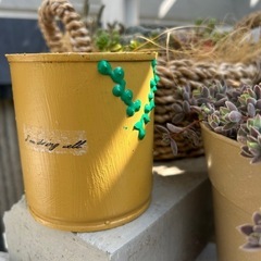 リメ缶　グリーンネックレス　多肉　観葉植物　ガーデニング　草花　ハンギング　インテリアの画像