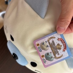 ぬいぐるみ　ねこちゃんの画像
