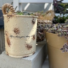 リメ缶　多肉　観葉植物　ガーデニング　草花　ハンギング　インテリア
