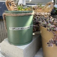 リメ缶　多肉　観葉植物　ガーデニング　草花　ハンギング　インテリア