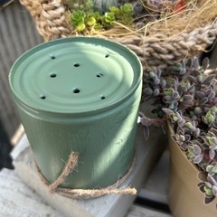 リメ缶　多肉　観葉植物　ガーデニング　草花　ハンギング　インテリアの画像