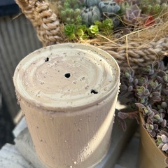 リメ缶　多肉　観葉植物　ガーデニング　草花　ハンギング　インテリアの画像