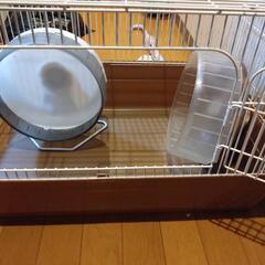 ハリネズミ飼育セット