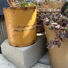 リメ缶　多肉　観葉植物　ガーデニング　草花　ハンギング　インテリア