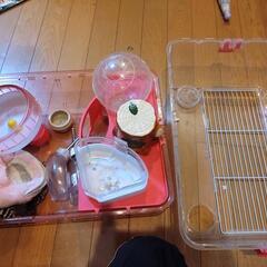 ハムスター飼育セット