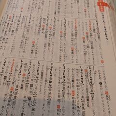 ③小学館例解学習国語辞典【第9版】の画像