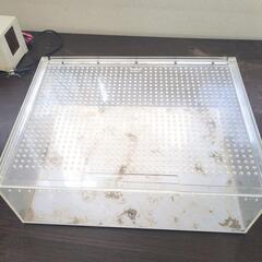 爬虫類等　飼育ケースの画像