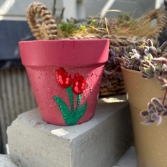 リメ鉢　多肉　観葉植物　ガーデニング　草花　ハンギング　インテリア