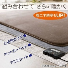 ニトリ　ホットカーペット