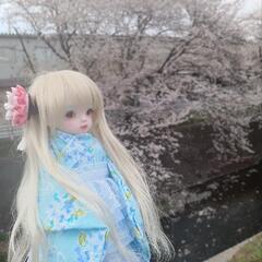 女の子のみで