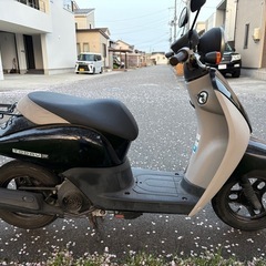 トゥデイ　原付の画像