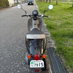 トゥデイ　原付の画像