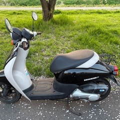 トゥデイ　原付の画像