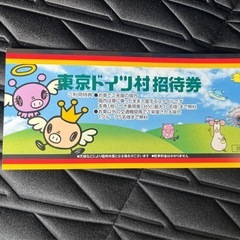 有効期限4/30 ドイツ村　招待券