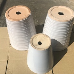 【セット価格値下げ】胡蝶蘭の鉢の画像