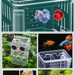 稚魚　隔離ケース　産卵ボックスの画像