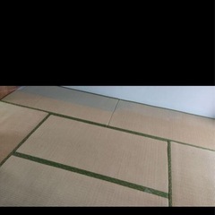 無料　畳12枚　引き取り限定