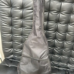 ハニービー　アコースティックギターの画像