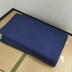 しきぱっと2枚目