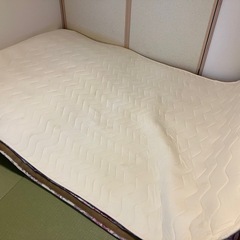 【取引完了】ダブル用敷きパッド