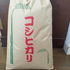 お譲り先決定しました