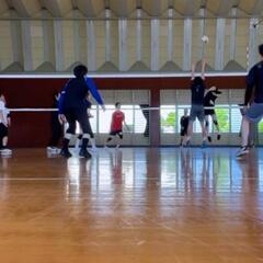 4/26(土)バレーボールメンバー募集🏐