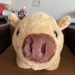NEW 新品非売品 森林イノシシ物語 BIGぬいぐるみの画像