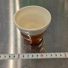 0419-167 湯のみ