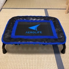 AEROLIFE ステッパー　踏み台　トランポリン