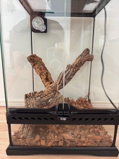 GEX エキゾテラ グラステラリウム 3045 飼育セット