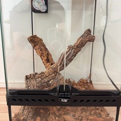 GEX エキゾテラ グラステラリウム 3045 飼育セット (SH) 東武