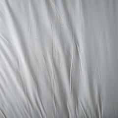 ニトリ　敷布団【ジャンク扱い】の画像
