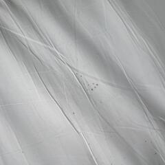 ニトリ　敷布団【ジャンク扱い】の画像