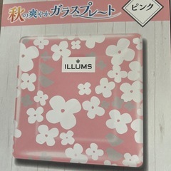 未使用・ILLUMS・ガラスプレート・4枚セットの画像